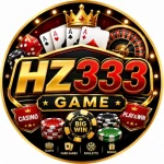 HZ333 Game