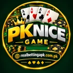 PKNICE Game