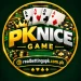 PKNICE Game